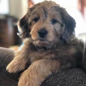 Meet your Posher, Nancy